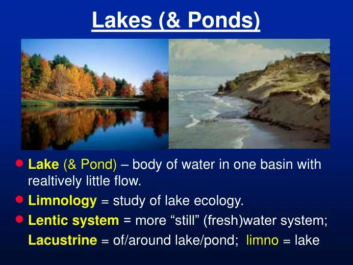 lakes ponds