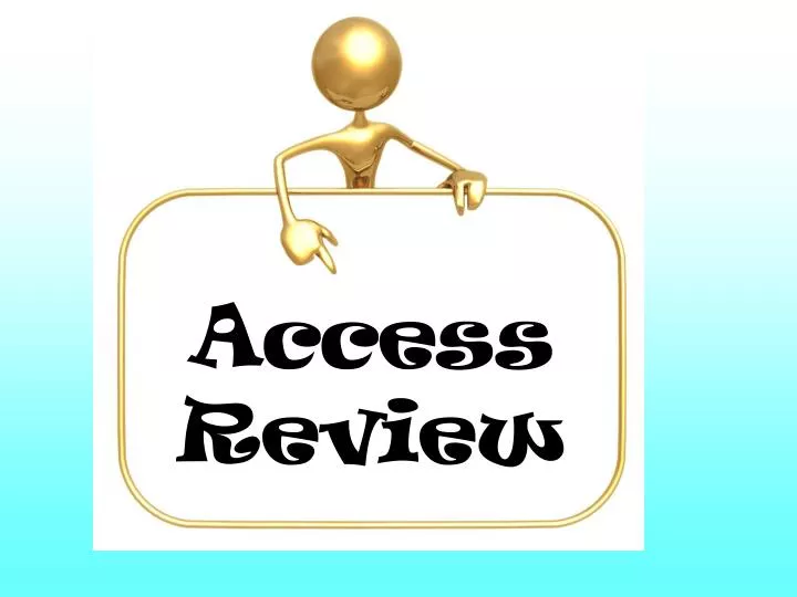 access review