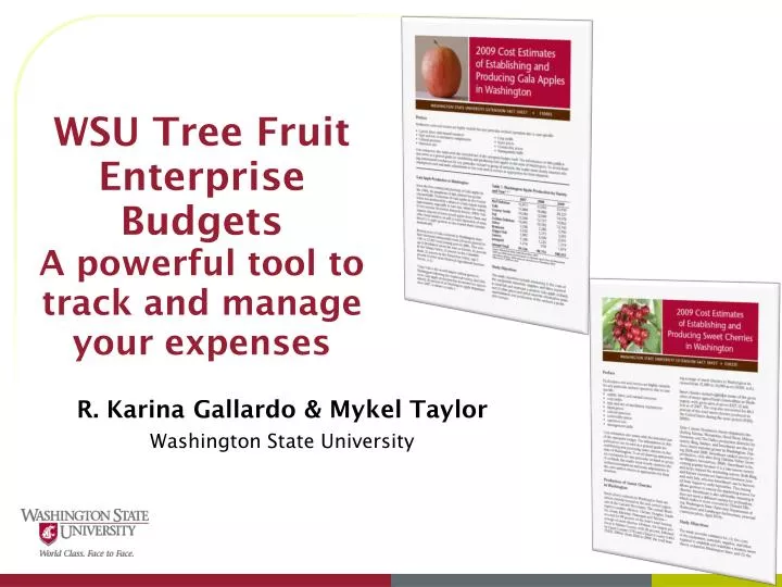 wsu tree fruit enterprise budgets a powerful tool to track and manage your expenses