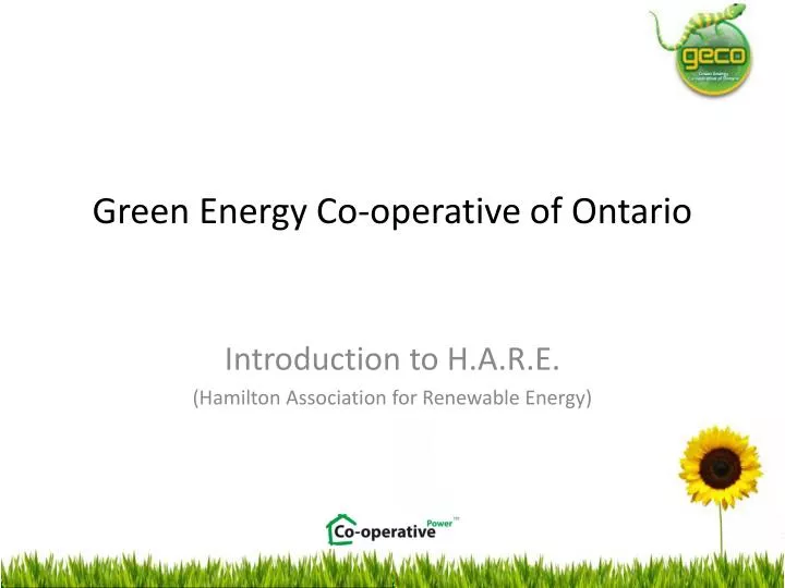 green energy co operative of ontario