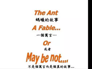 the ant