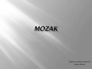 mozak