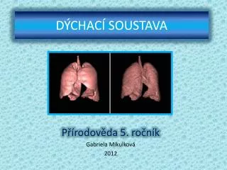 d chac soustava