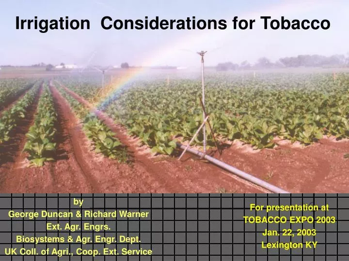 irrigation considerations for tobacco