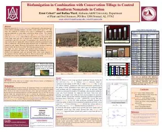 Biofumigation in Combination with Conservation Tillage to Control Reniform Nematode in Cotton