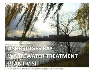 ASHBRIDGES BAY WASTEWATER TREATMENT PLANT VISIT