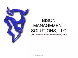 BISON MANAGEMENT SOLUTIONS, LLC (a division of Bison Investments, Inc.)