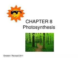 CHAPTER 8 Photosynthesis