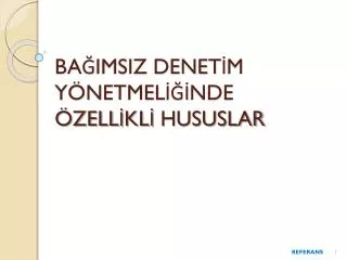 ba imsiz denet m y netmel nde zell kl hususlar