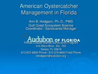 American Oystercatcher Management in Florida