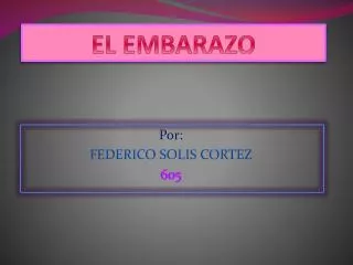 el embarazo