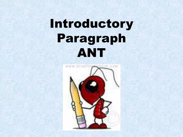 introductory paragraph ant