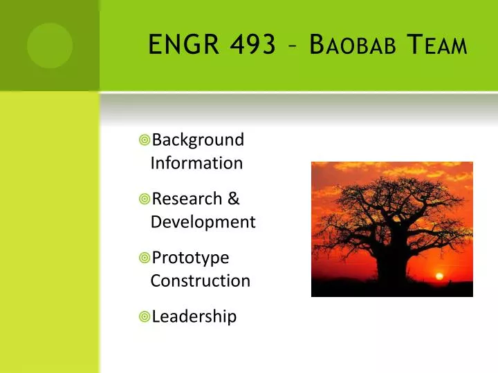 engr 493 baobab team