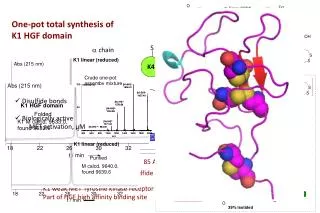 One-pot total synthesis of K1 HGF domain