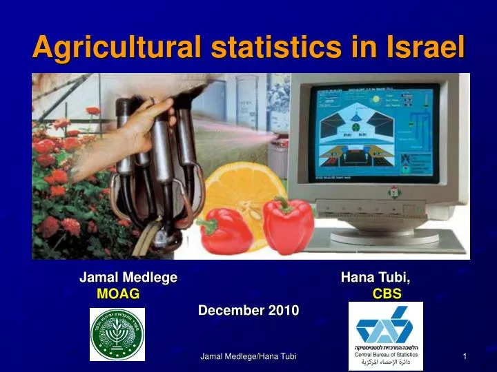 agricultural statistics in israel