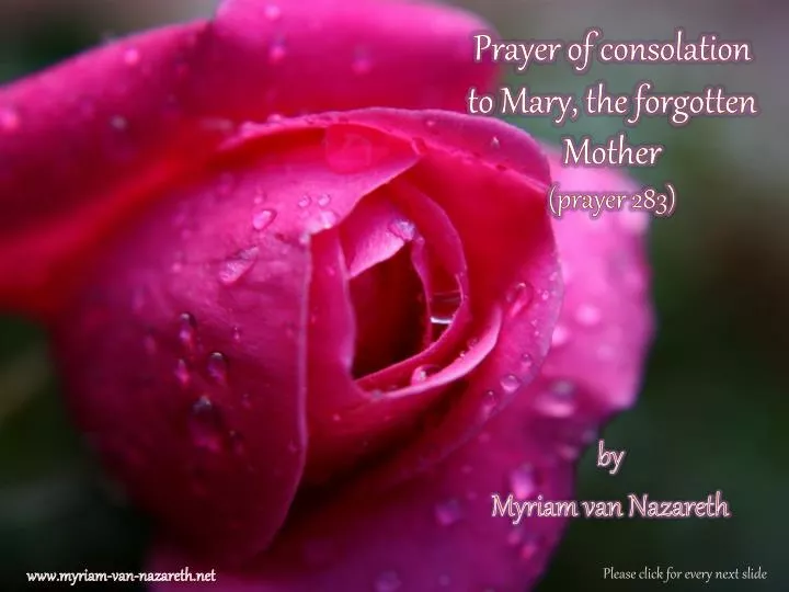 prayer of consolation to mary the forgotten mother prayer 283