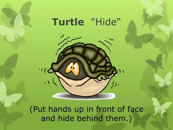 turtle hide