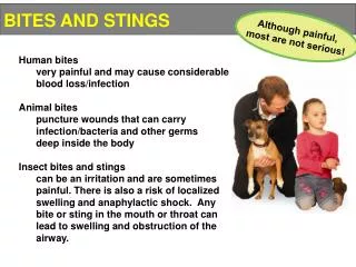 Human bites 	very painful and may cause considerable 	blood loss/infection Animal bites