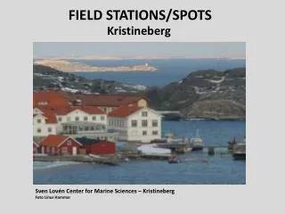field stations spots