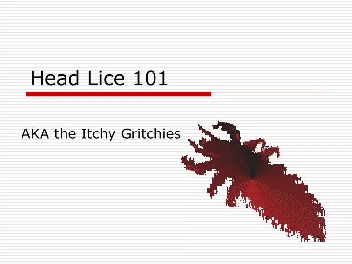 head lice 101