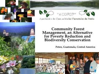 Community Forest Management, an Alternative for Poverty Reduction and Biodiversity Conservation