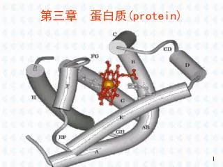第三章 蛋白质 (protein)