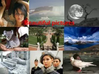 beautiful pictures