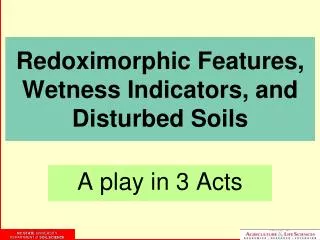 Redoximorphic Features, Wetness Indicators, and Disturbed Soils