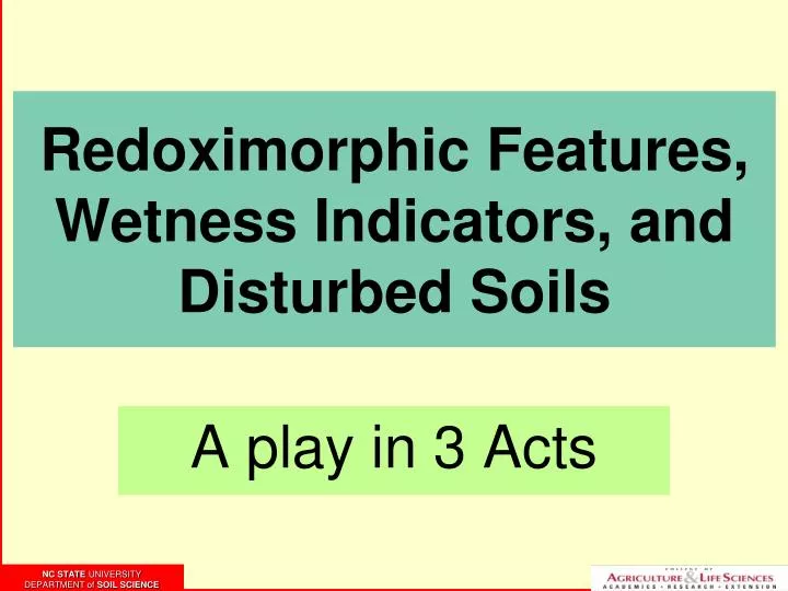 redoximorphic features wetness indicators and disturbed soils
