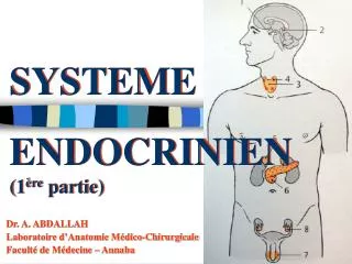 systeme endocrinien 1 re partie