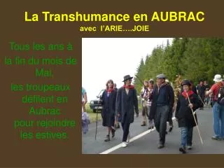la transhumance en aubrac avec l arie joie