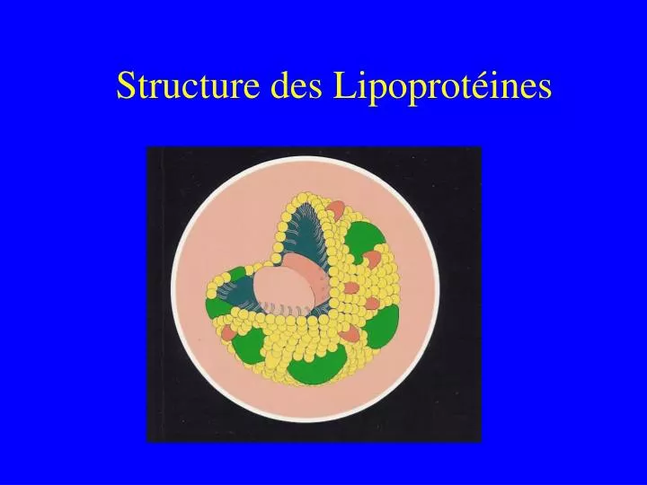 structure des lipoprot ines