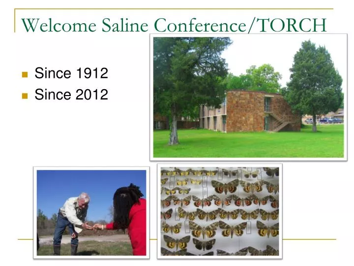 welcome saline conference torch