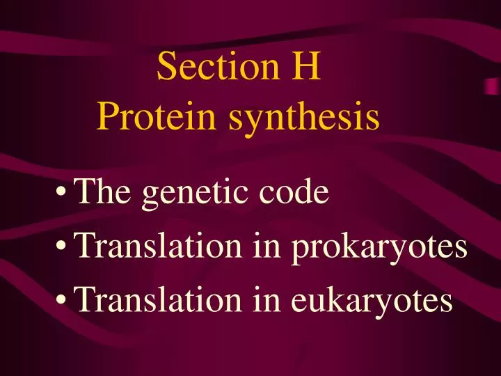 section h protein synthesis