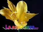 La esperanza... - slide 1