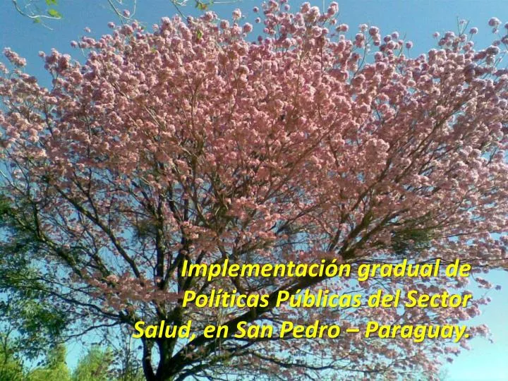 implementaci n gradual de pol ticas p blicas del sector salud en san pedro paraguay