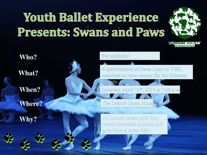 youth ballet experience presents swans and paws