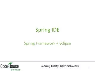 spring ide