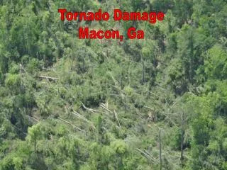 Tornado Damage Macon, Ga