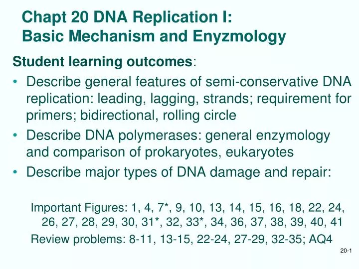 chapt 20 dna replication i basic mechanism and enyzmology