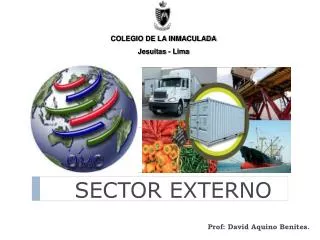 sector externo