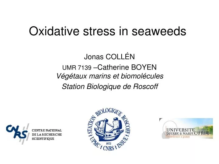 oxidative stress in seaweeds