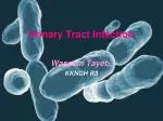 Urinary Tract Infection - slide 1