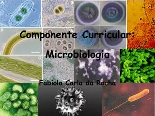 componente curricular microbiologia
