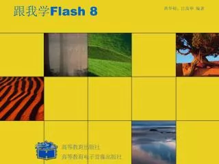 flash 8