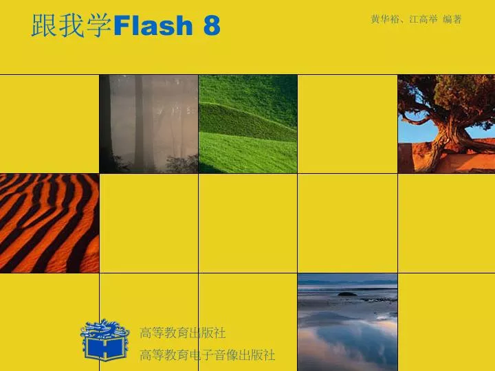 flash 8