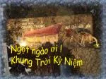 Ngọt ngào ơi ! Khung Trời Kỷ Niệm - slide 1