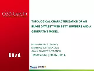 Topological characterization of an image dataset with Betti numbers and a generative model.
