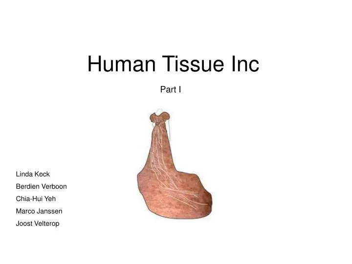 human tissue inc