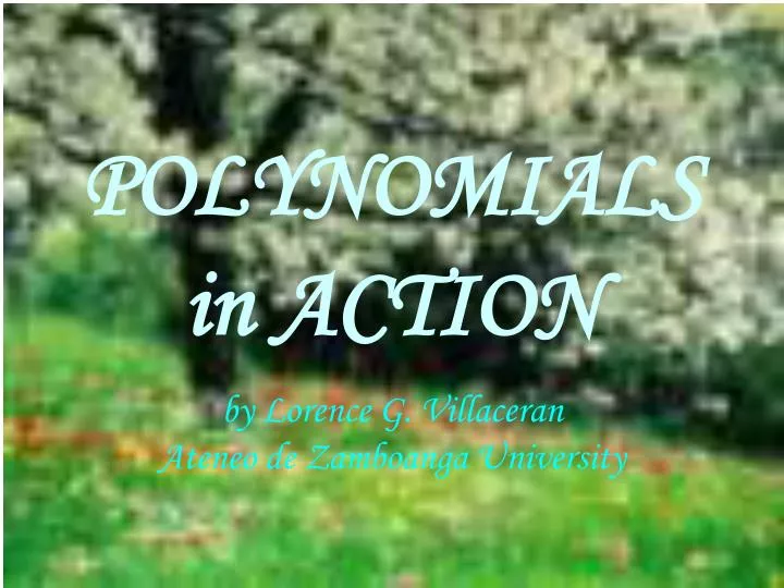 polynomials in action